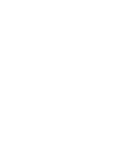 sijalica icon